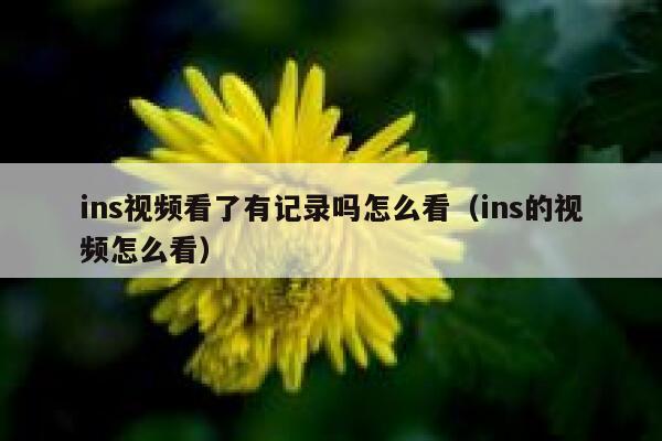 ins视频看了有记录吗怎么看（ins的视频怎么看） 第1张