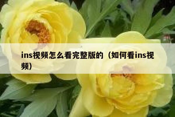 ins视频怎么看完整版的（如何看ins视频） 第1张