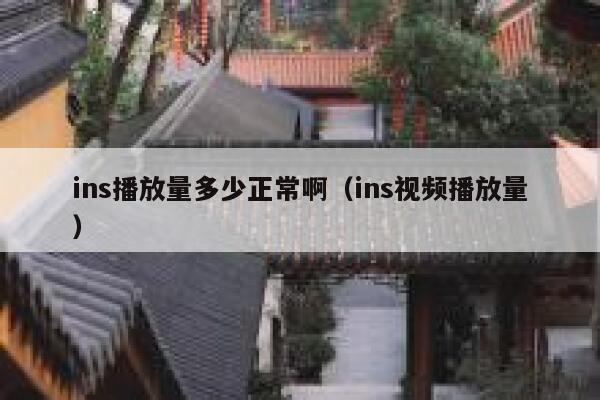 ins播放量多少正常啊（ins视频播放量） 第1张