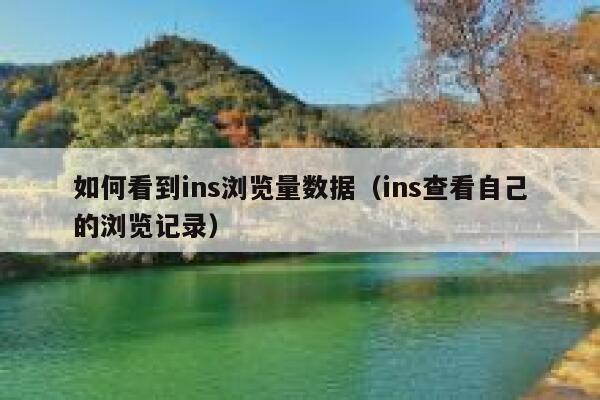 如何看到ins浏览量数据（ins查看自己的浏览记录） 第1张