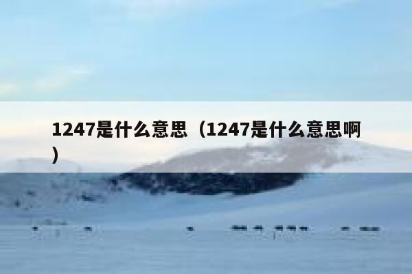 1247是什么意思（1247是什么意思啊） 第1张