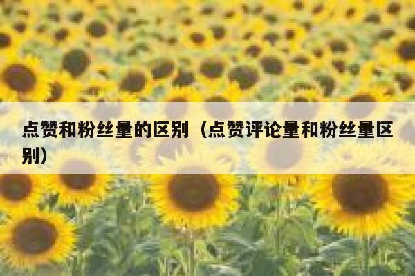 点赞和粉丝量的区别(点赞评论量和粉丝量区别) 第1张 点赞和粉丝量的区别(点赞评论量和粉丝量区别) 第1张