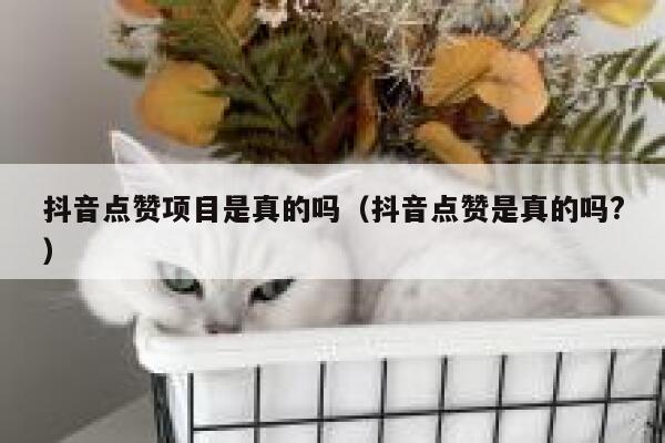 抖音点赞项目是真的吗（抖音点赞是真的吗?） 第1张