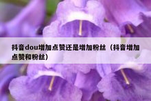 抖音dou增加点赞还是增加粉丝（抖音增加点赞和粉丝） 第1张