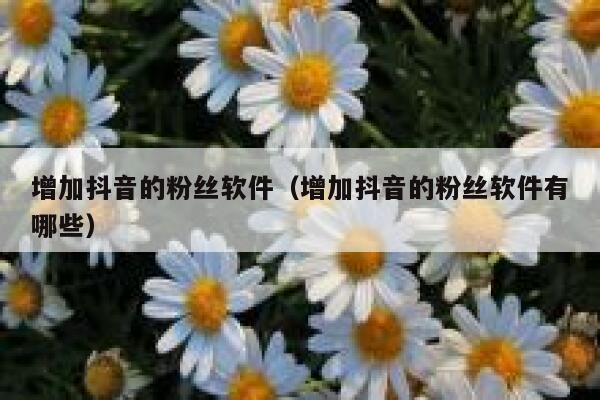 增加抖音的粉丝软件(增加抖音的粉丝软件有哪些) 第1张 增加抖音的粉丝软件(增加抖音的粉丝软件有哪些) 第1张