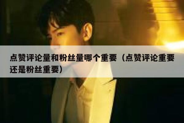 点赞评论量和粉丝量哪个重要(点赞评论重要还是粉丝重要) 第1张 点赞评论量和粉丝量哪个重要(点赞评论重要还是粉丝重要) 第1张