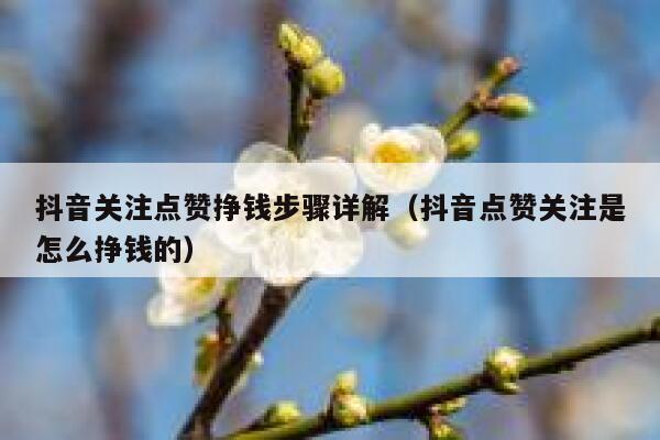 抖音关注点赞挣钱步骤详解(抖音点赞关注是怎么挣钱的) 第1张 抖音关注点赞挣钱步骤详解(抖音点赞关注是怎么挣钱的) 第1张