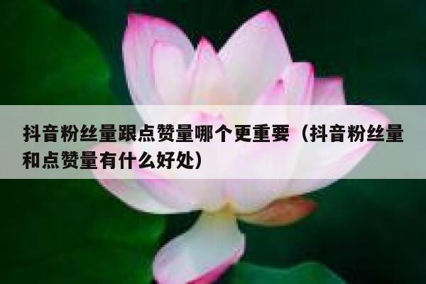 抖音粉丝量跟点赞量哪个更重要(抖音粉丝量和点赞量有什么好处) 第1张 抖音粉丝量跟点赞量哪个更重要(抖音粉丝量和点赞量有什么好处) 第1张