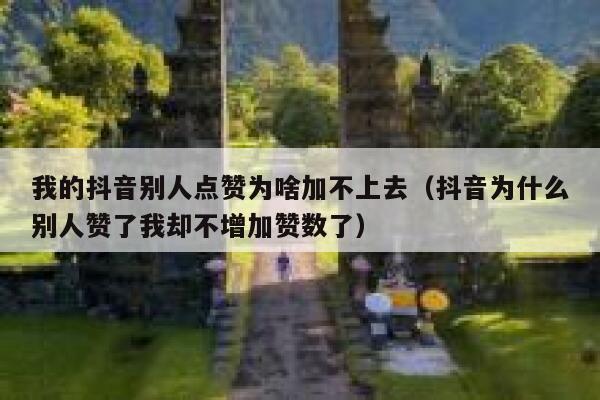 我的抖音别人点赞为啥加不上去(抖音为什么别人赞了我却不增加赞数了) 第1张 我的抖音别人点赞为啥加不上去(抖音为什么别人赞了我却不增加赞数了) 第1张