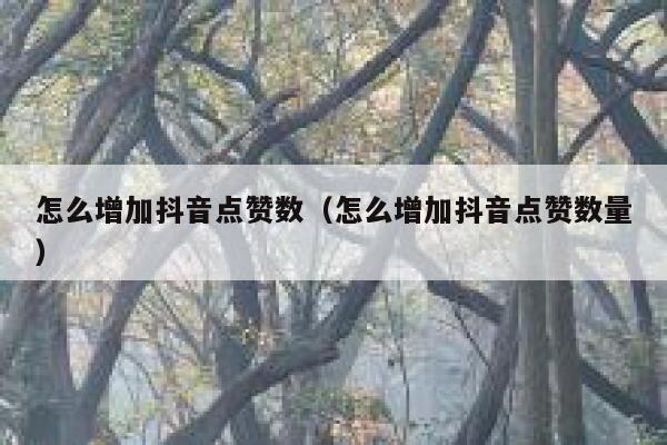 怎么增加抖音点赞数(怎么增加抖音点赞数量) 第1张 怎么增加抖音点赞数(怎么增加抖音点赞数量) 第1张