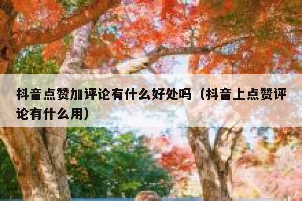 抖音点赞加评论有什么好处吗(抖音上点赞评论有什么用) 第1张 抖音点赞加评论有什么好处吗(抖音上点赞评论有什么用) 第1张