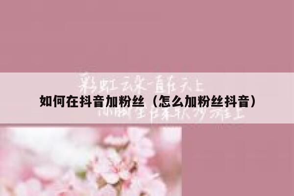 如何在抖音加粉丝(怎么加粉丝抖音) 第1张 如何在抖音加粉丝(怎么加粉丝抖音) 第1张