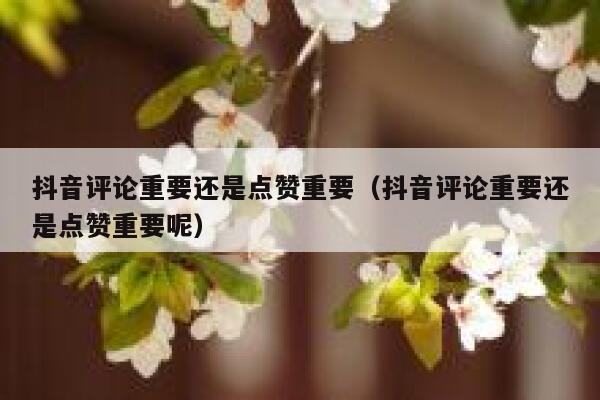 抖音评论重要还是点赞重要(抖音评论重要还是点赞重要呢) 第1张 抖音评论重要还是点赞重要(抖音评论重要还是点赞重要呢) 第1张