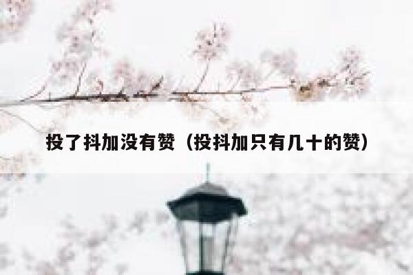 投了抖加没有赞（投抖加只有几十的赞） 第1张