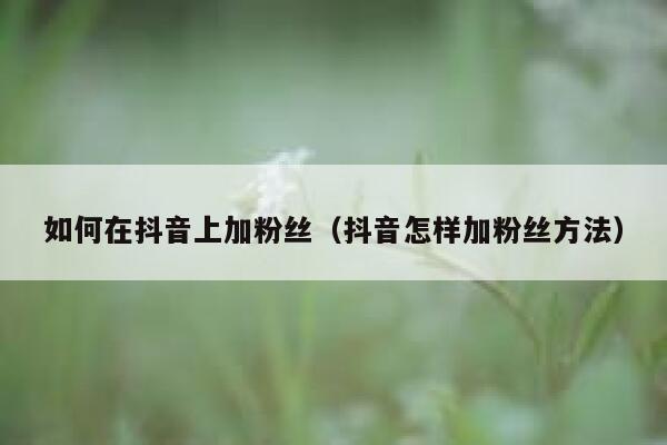 如何在抖音上加粉丝(抖音怎样加粉丝方法) 第1张 如何在抖音上加粉丝(抖音怎样加粉丝方法) 第1张