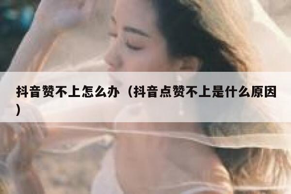 抖音赞不上怎么办(抖音点赞不上是什么原因) 第1张 抖音赞不上怎么办(抖音点赞不上是什么原因) 第1张