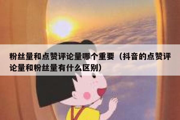 粉丝量和点赞评论量哪个重要（抖音的点赞评论量和粉丝量有什么区别） 第1张