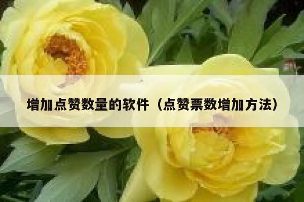 增加点赞数量的软件(点赞票数增加方法) 第1张 增加点赞数量的软件(点赞票数增加方法) 第1张