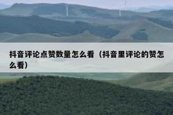 抖音评论点赞数量怎么看(抖音里评论的赞怎么看) 第1张 抖音评论点赞数量怎么看(抖音里评论的赞怎么看) 第1张
