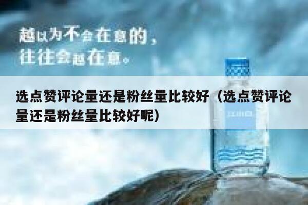 选点赞评论量还是粉丝量比较好（选点赞评论量还是粉丝量比较好呢） 第1张