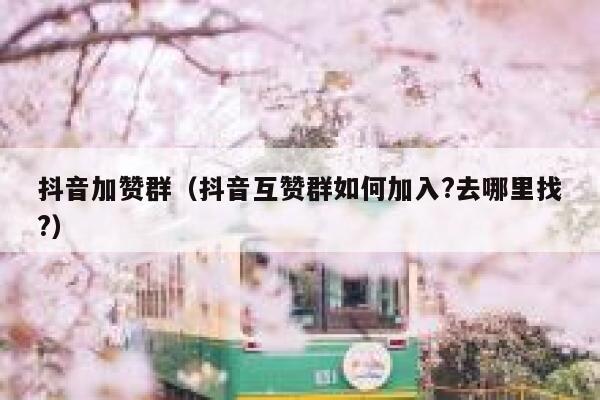 抖音加赞群（抖音互赞群如何加入?去哪里找?） 第1张