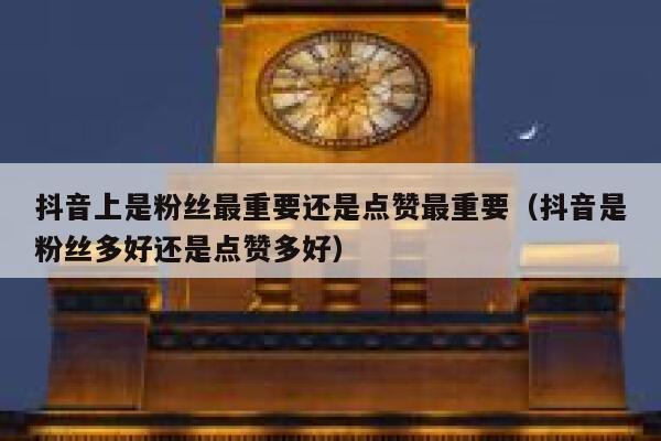 抖音上是粉丝最重要还是点赞最重要（抖音是粉丝多好还是点赞多好） 第1张