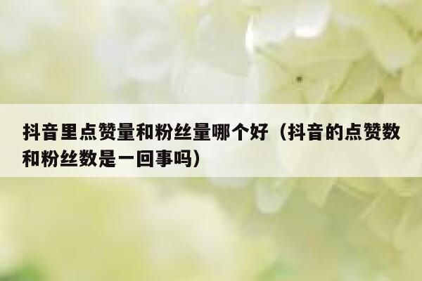 抖音里点赞量和粉丝量哪个好（抖音的点赞数和粉丝数是一回事吗） 第1张