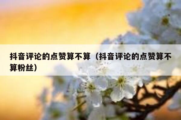 抖音评论的点赞算不算(抖音评论的点赞算不算粉丝) 第1张 抖音评论的点赞算不算(抖音评论的点赞算不算粉丝) 第1张