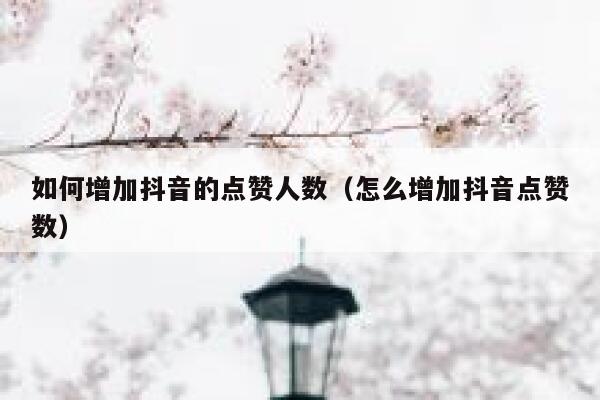 如何增加抖音的点赞人数（怎么增加抖音点赞数） 第1张