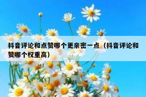 抖音评论和点赞哪个更亲密一点(抖音评论和赞哪个权重高) 第1张 抖音评论和点赞哪个更亲密一点(抖音评论和赞哪个权重高) 第1张