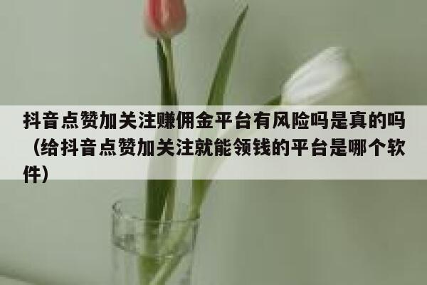 抖音点赞加关注赚佣金平台有风险吗是真的吗（给抖音点赞加关注就能领钱的平台是哪个软件） 第1张