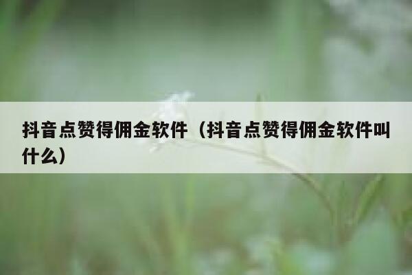 抖音点赞得佣金软件(抖音点赞得佣金软件叫什么) 第1张 抖音点赞得佣金软件(抖音点赞得佣金软件叫什么) 第1张