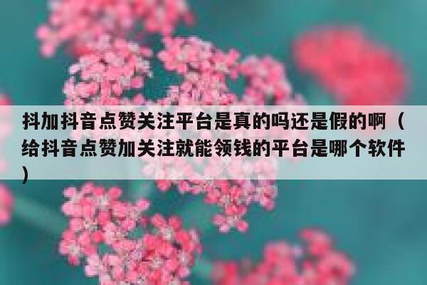 抖加抖音点赞关注平台是真的吗还是假的啊（给抖音点赞加关注就能领钱的平台是哪个软件） 第1张