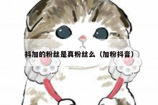 抖加的粉丝是真粉丝么(加粉抖音) 第1张 抖加的粉丝是真粉丝么(加粉抖音) 第1张