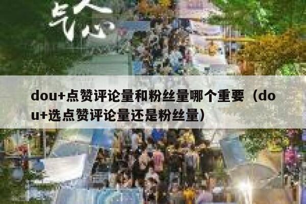 dou+点赞评论量和粉丝量哪个重要(dou+选点赞评论量还是粉丝量) 第1张 dou+点赞评论量和粉丝量哪个重要(dou+选点赞评论量还是粉丝量) 第1张