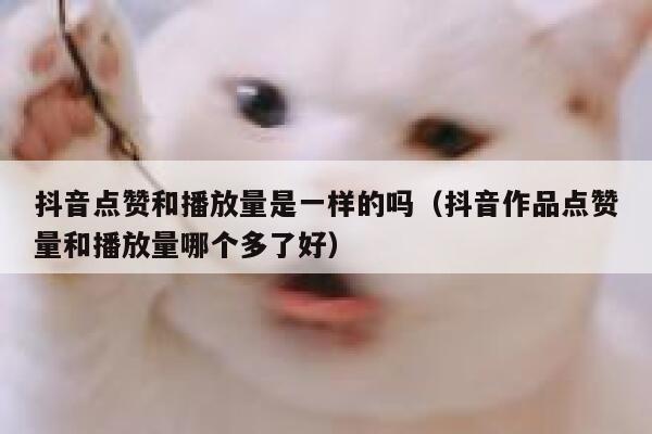 抖音点赞和播放量是一样的吗(抖音作品点赞量和播放量哪个多了好) 第1张 抖音点赞和播放量是一样的吗(抖音作品点赞量和播放量哪个多了好) 第1张