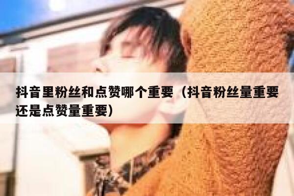 抖音里粉丝和点赞哪个重要(抖音粉丝量重要还是点赞量重要) 第1张 抖音里粉丝和点赞哪个重要(抖音粉丝量重要还是点赞量重要) 第1张