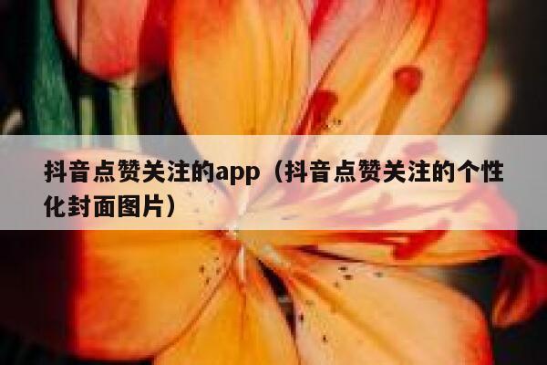 抖音点赞关注的app（抖音点赞关注的个性化封面图片） 第1张
