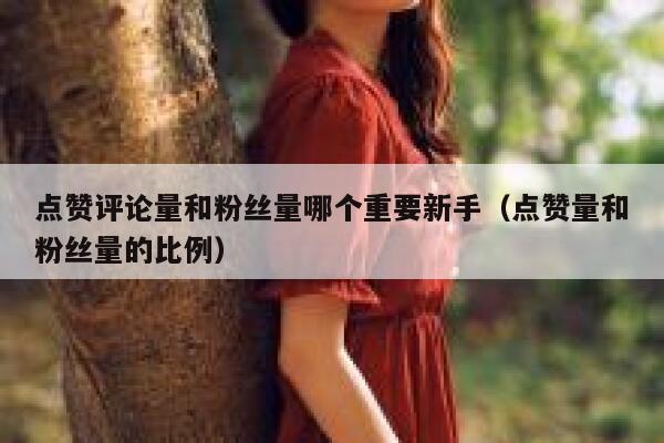 点赞评论量和粉丝量哪个重要新手（点赞量和粉丝量的比例） 第1张