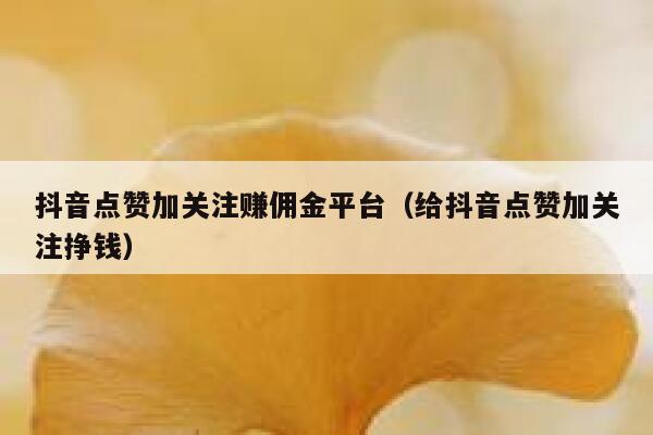 抖音点赞加关注赚佣金平台(给抖音点赞加关注挣钱) 第1张 抖音点赞加关注赚佣金平台(给抖音点赞加关注挣钱) 第1张