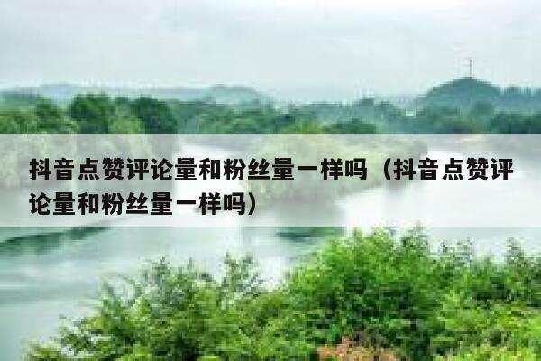 抖音点赞评论量和粉丝量一样吗(抖音点赞评论量和粉丝量一样吗) 第1张 抖音点赞评论量和粉丝量一样吗(抖音点赞评论量和粉丝量一样吗) 第1张