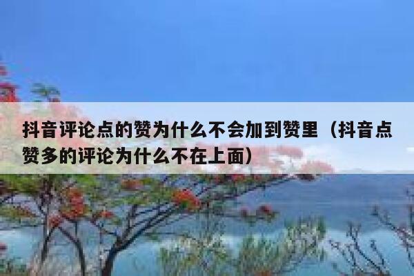 抖音评论点的赞为什么不会加到赞里(抖音点赞多的评论为什么不在上面) 第1张 抖音评论点的赞为什么不会加到赞里(抖音点赞多的评论为什么不在上面) 第1张