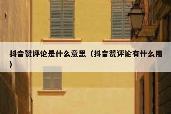 抖音赞评论是什么意思(抖音赞评论有什么用) 第1张 抖音赞评论是什么意思(抖音赞评论有什么用) 第1张