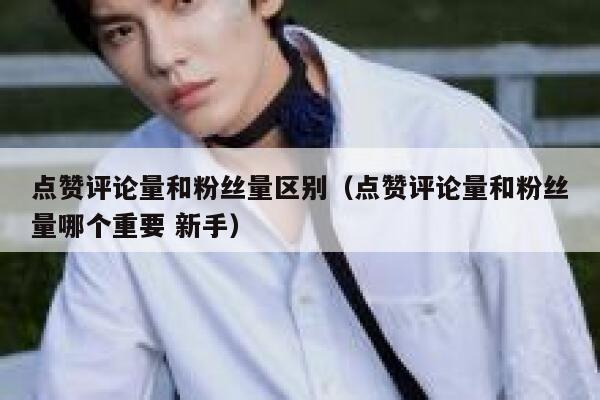 点赞评论量和粉丝量区别(点赞评论量和粉丝量哪个重要 新手) 第1张 点赞评论量和粉丝量区别(点赞评论量和粉丝量哪个重要 新手) 第1张