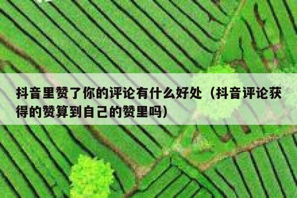抖音里赞了你的评论有什么好处(抖音评论获得的赞算到自己的赞里吗) 第1张 抖音里赞了你的评论有什么好处(抖音评论获得的赞算到自己的赞里吗) 第1张