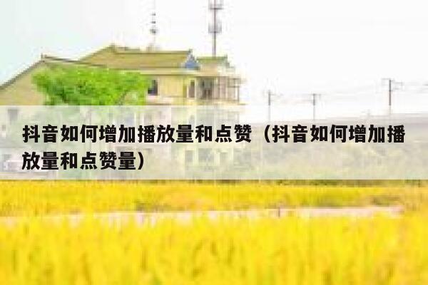 抖音如何增加播放量和点赞(抖音如何增加播放量和点赞量) 第1张 抖音如何增加播放量和点赞(抖音如何增加播放量和点赞量) 第1张