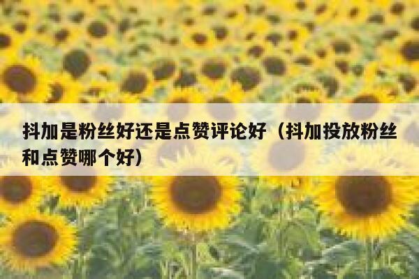 抖加是粉丝好还是点赞评论好(抖加投放粉丝和点赞哪个好) 第1张 抖加是粉丝好还是点赞评论好(抖加投放粉丝和点赞哪个好) 第1张