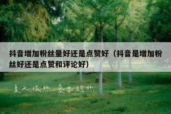 抖音增加粉丝量好还是点赞好(抖音是增加粉丝好还是点赞和评论好) 第1张 抖音增加粉丝量好还是点赞好(抖音是增加粉丝好还是点赞和评论好) 第1张