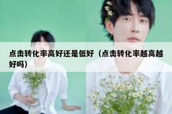点击转化率高好还是低好（点击转化率越高越好吗） 第1张
