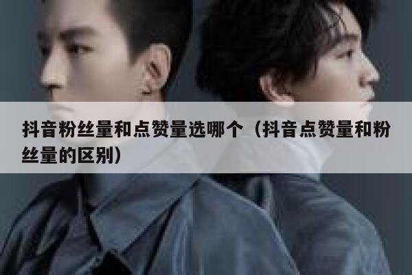 抖音粉丝量和点赞量选哪个（抖音点赞量和粉丝量的区别） 第1张